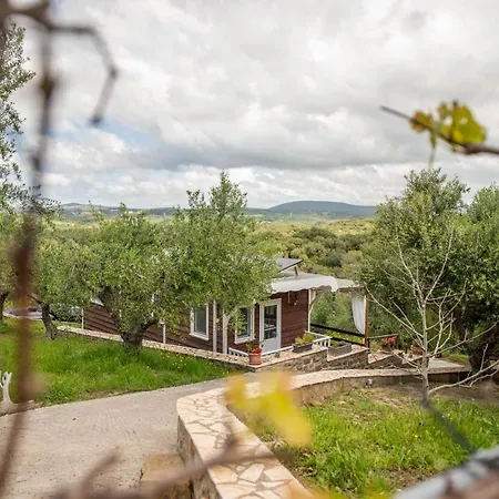 Hakuna Matata Holidays Wooden Lodge With Airco & Pool In Greek Olive Grove Methoni  Exterior foto