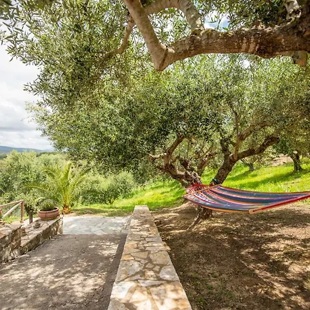 Hakuna Matata Holidays Wooden Lodge With Airco & Pool In Greek Olive Grove Methoni  Exterior foto