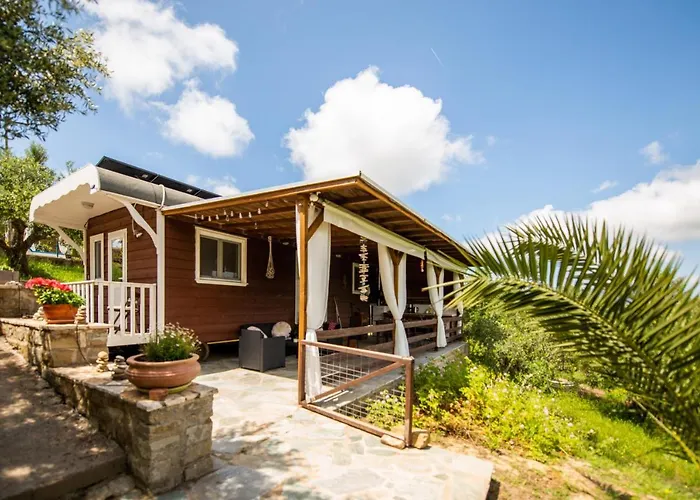 Hakuna Matata Holidays Wooden Lodge With Airco & Pool In Greek Olive Grove