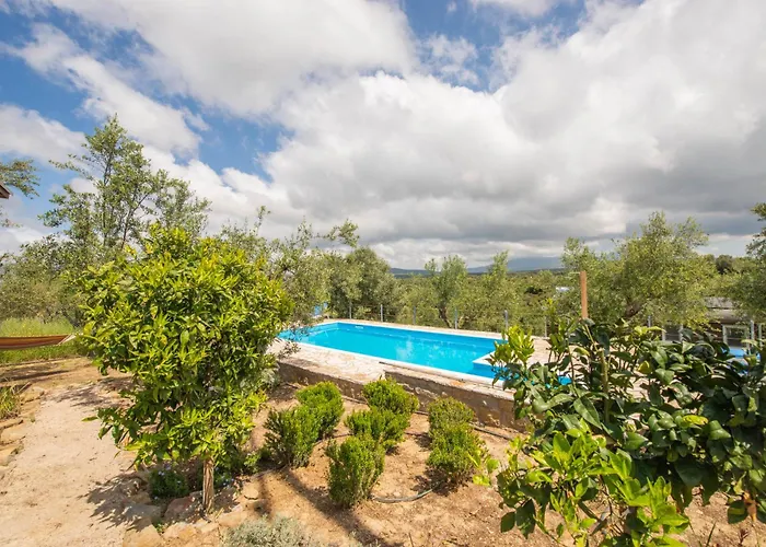 Hakuna Matata Holidays Wooden Lodge With Airco & Pool In Greek Olive Grove