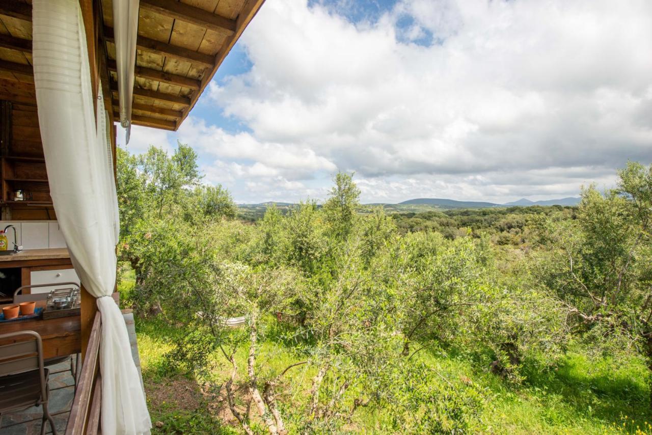 Lodge Hakuna Matata Holidays Wooden With Airco & Pool In Greek Olive Grove
