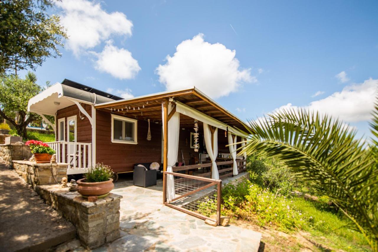 Hakuna Matata Holidays Wooden With Airco & Pool In Greek Olive Grove Lodge *