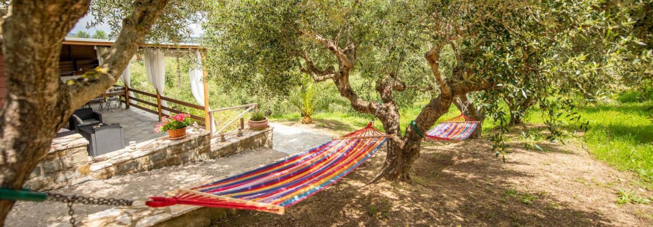 Hakuna Matata Holidays Wooden With Airco & Pool In Greek Olive Grove Lodge *