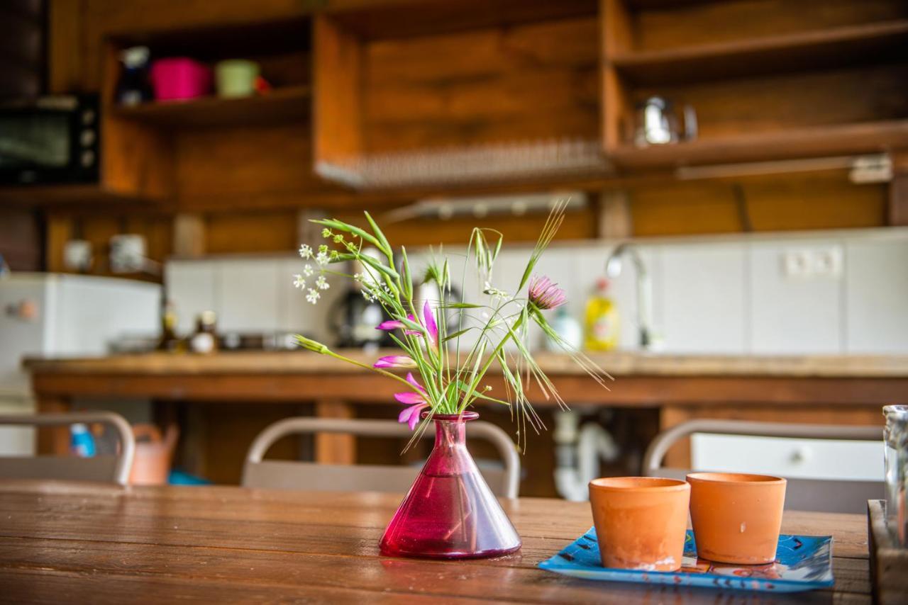 Lodge Hakuna Matata Holidays Wooden With Airco & Pool In Greek Olive Grove *