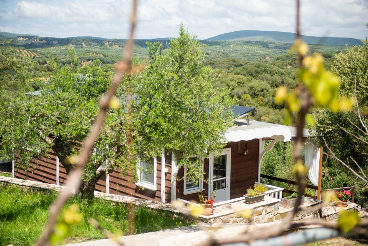 Hakuna Matata Holidays Wooden With Airco & Pool In Greek Olive Grove Lodge Methoni (Messenia)