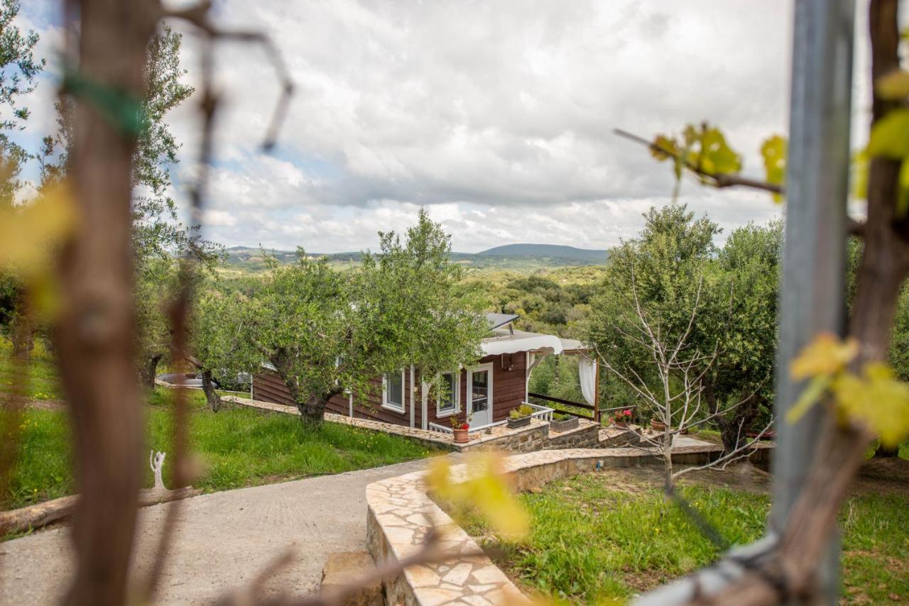 Hakuna Matata Holidays Wooden With Airco & Pool In Greek Olive Grove * Methoni (Messenia)