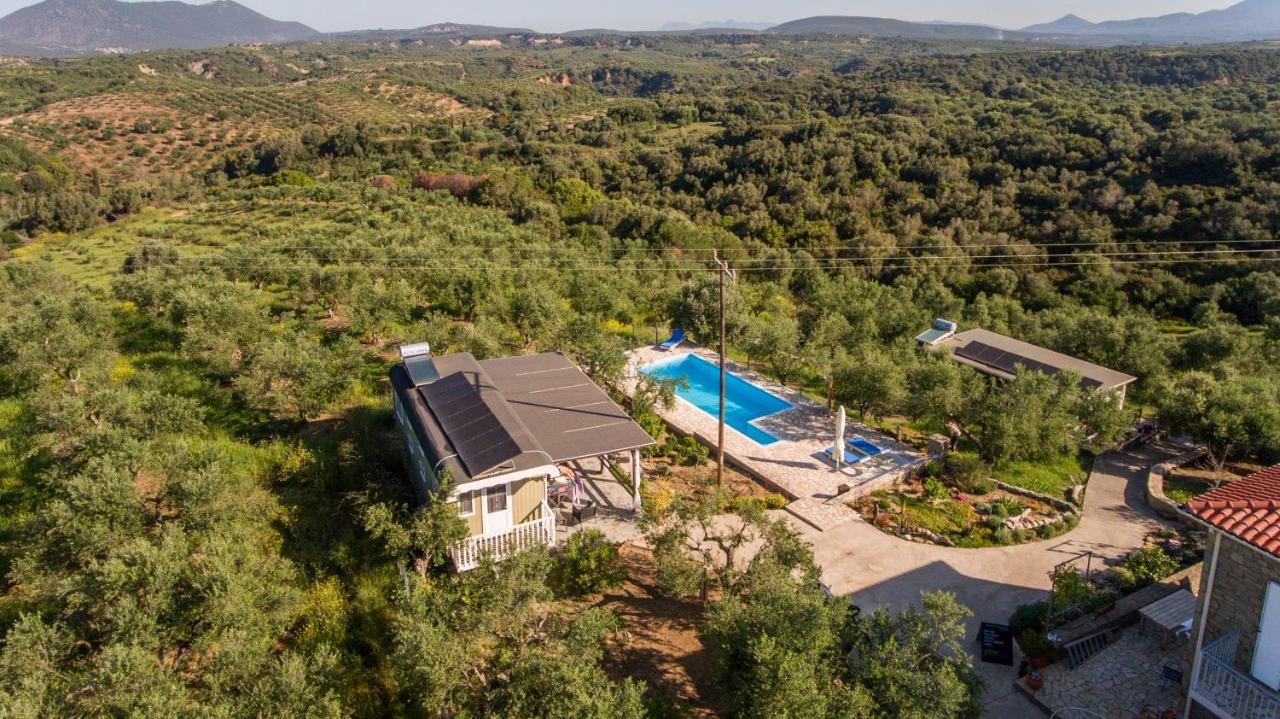 Hakuna Matata Holidays Wooden With Airco & Pool In Greek Olive Grove *
