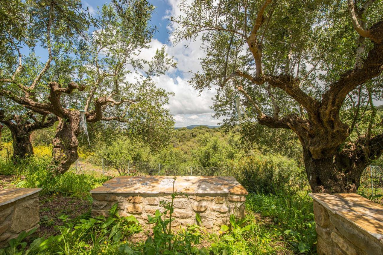 Hakuna Matata Holidays Wooden With Airco & Pool In Greek Olive Grove * Methoni (Messenia)