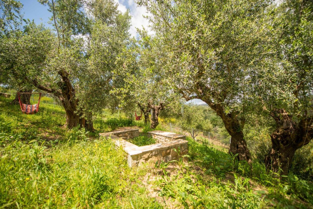 Hakuna Matata Holidays Wooden With Airco & Pool In Greek Olive Grove Methoni (Messenia)
