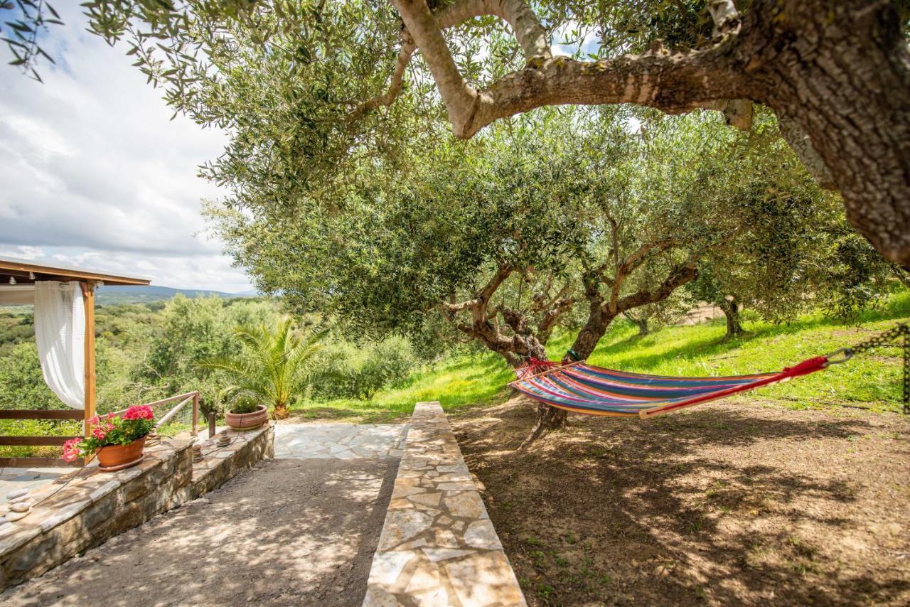 Hakuna Matata Holidays Wooden With Airco & Pool In Greek Olive Grove *