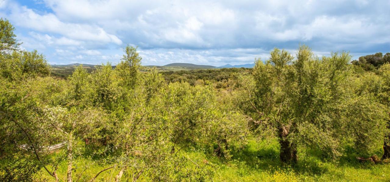 Hakuna Matata Holidays Wooden With Airco & Pool In Greek Olive Grove * Methoni (Messenia)