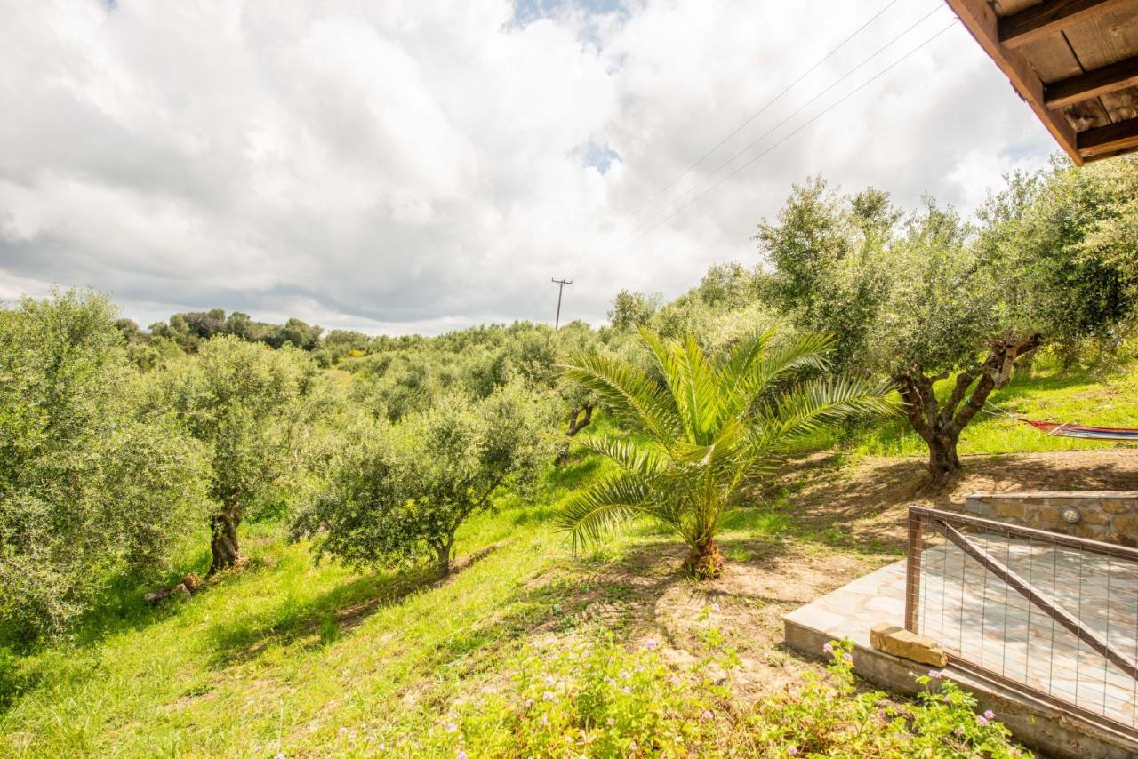 Hakuna Matata Holidays Wooden With Airco & Pool In Greek Olive Grove *
