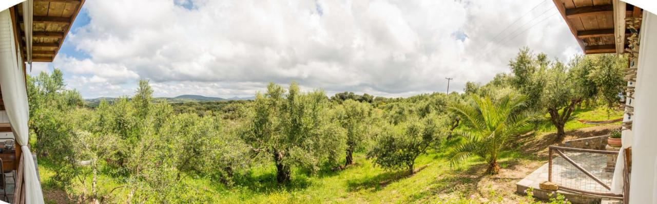 Hakuna Matata Holidays Wooden With Airco & Pool In Greek Olive Grove * Methoni (Messenia)