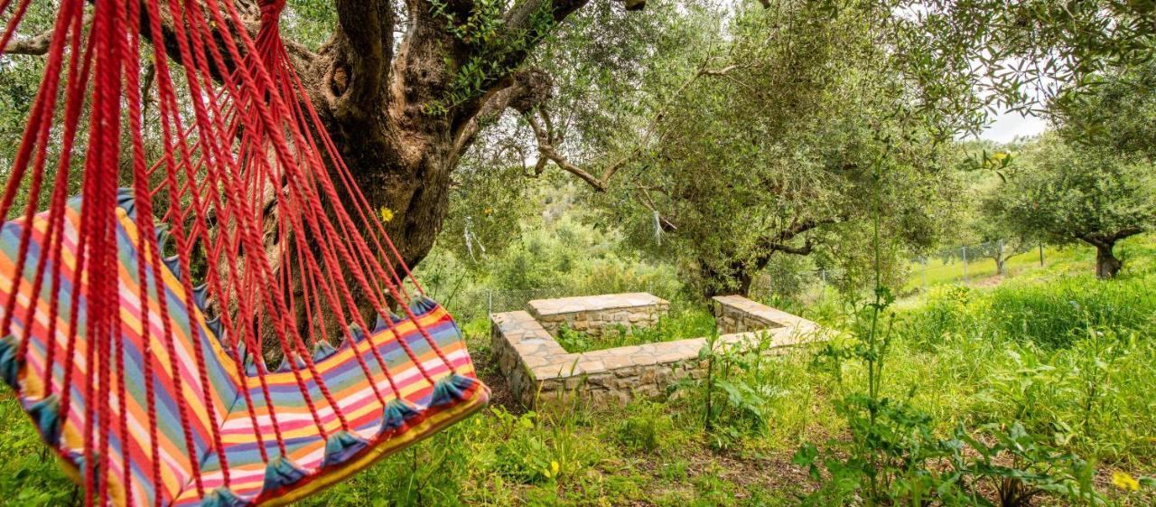 Hakuna Matata Holidays Wooden With Airco & Pool In Greek Olive Grove Methoni (Messenia)