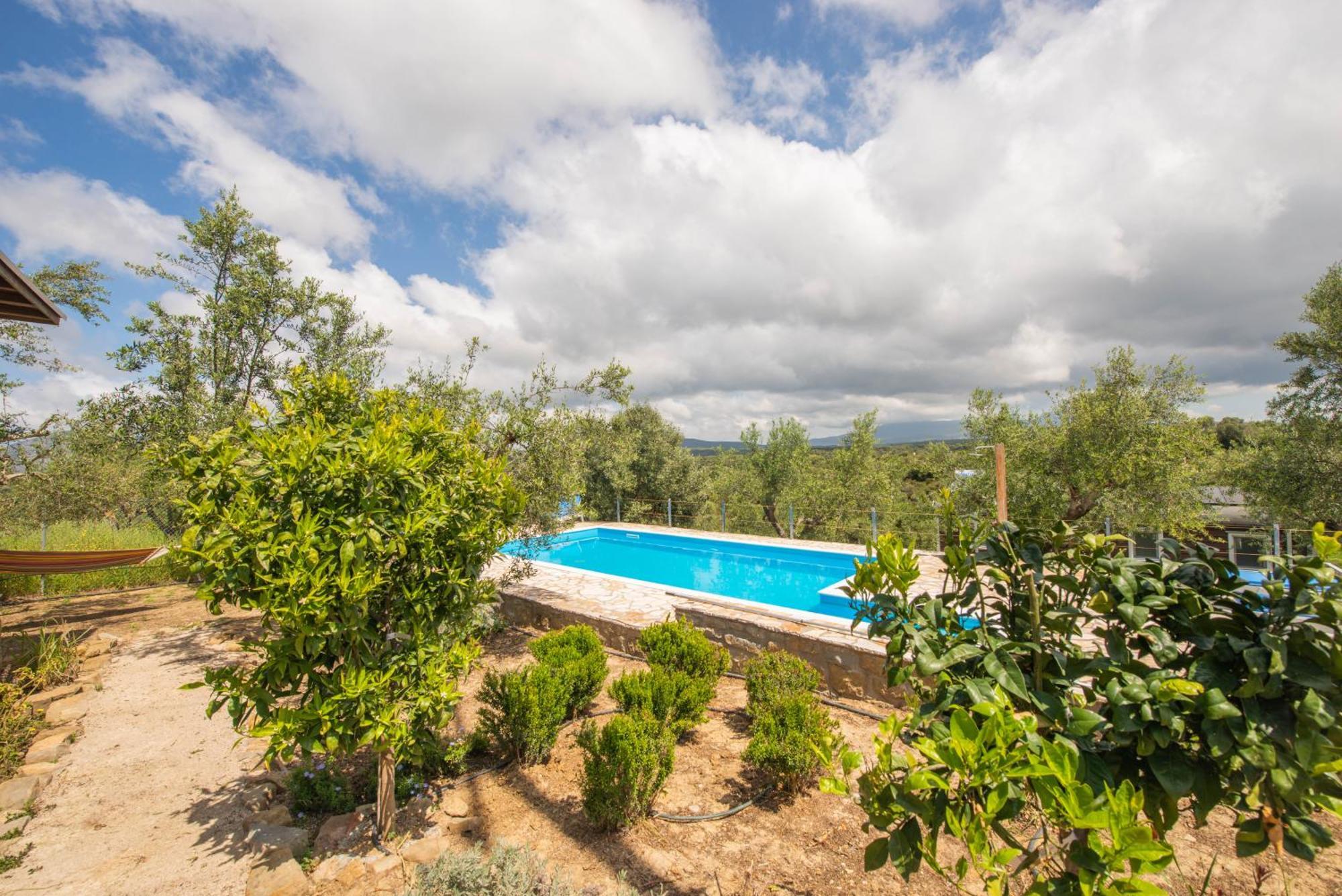 Hakuna Matata Holidays Wooden With Airco & Pool In Greek Olive Grove Lodge
